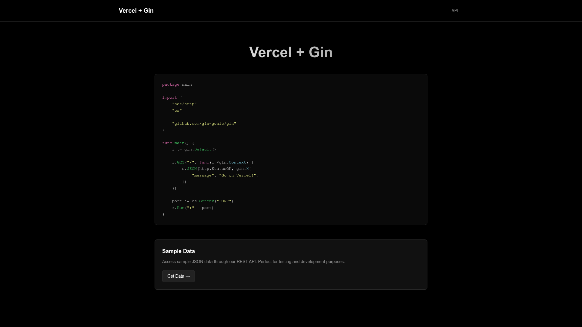 screenshot of Gin Starter on template0.com