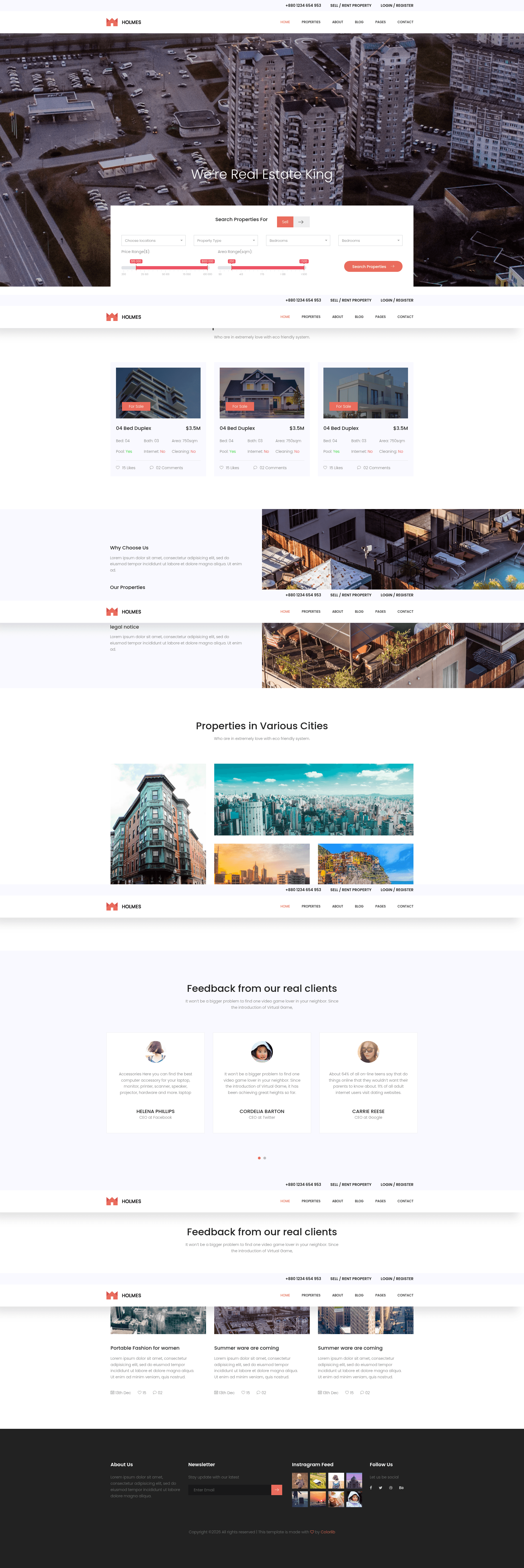 screenshot of Holmes on template0.com