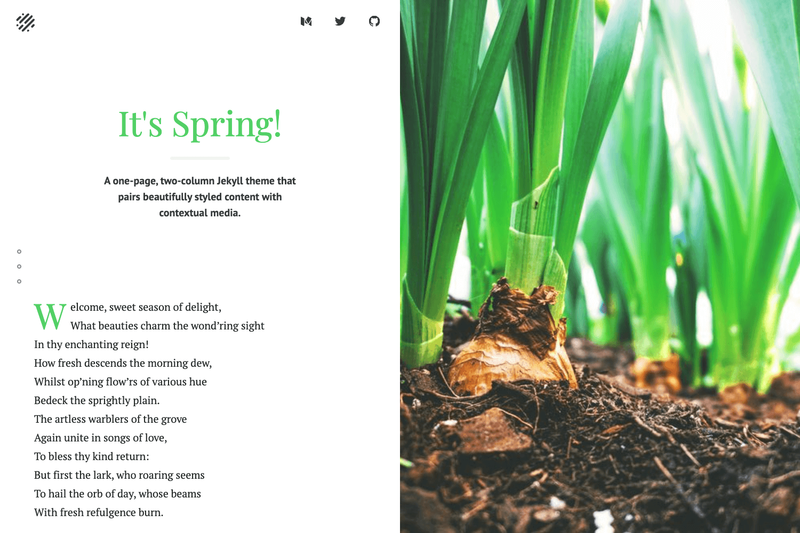 Image for Spring on template0.com