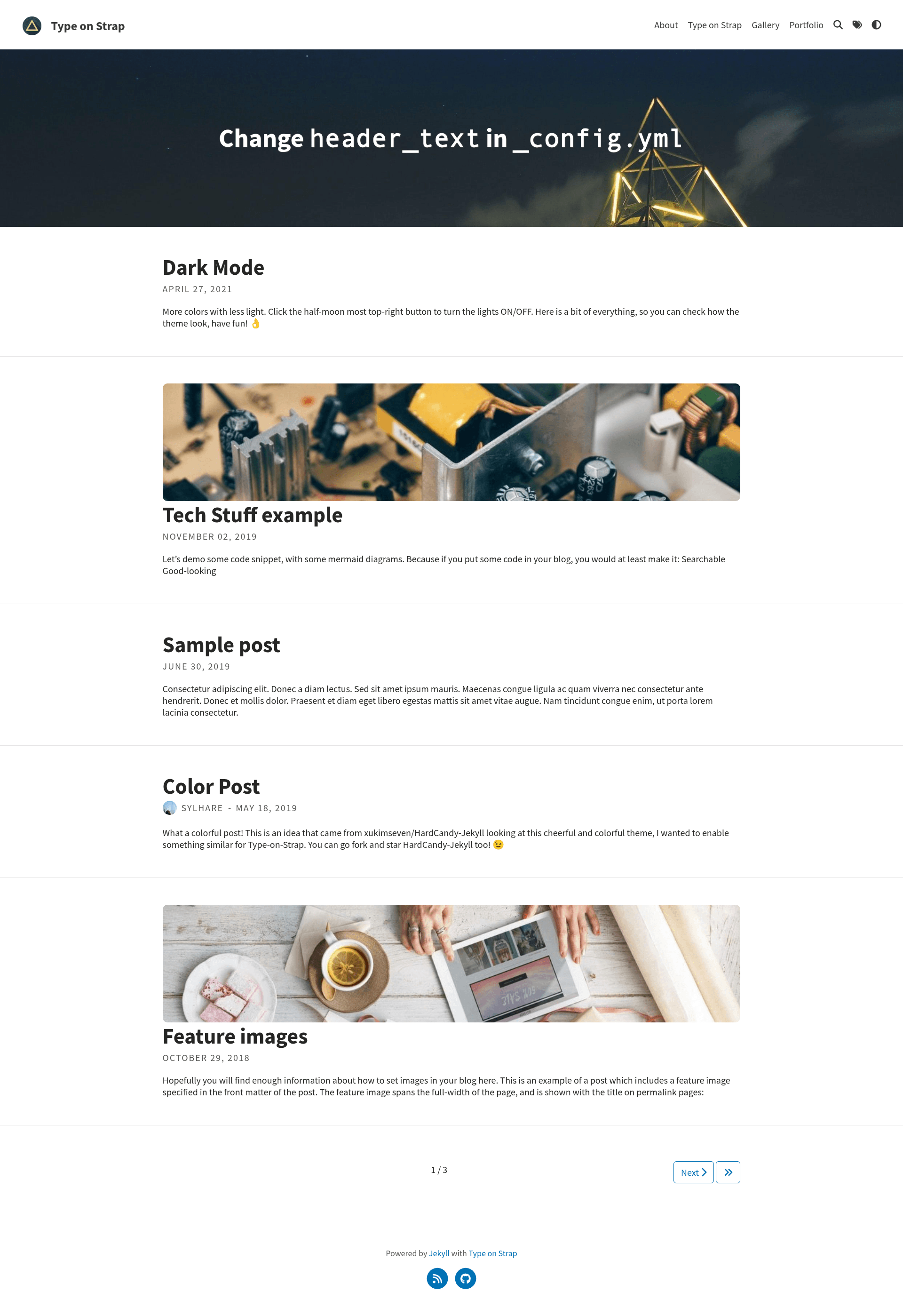 screenshot of Type on Strap on template0.com
