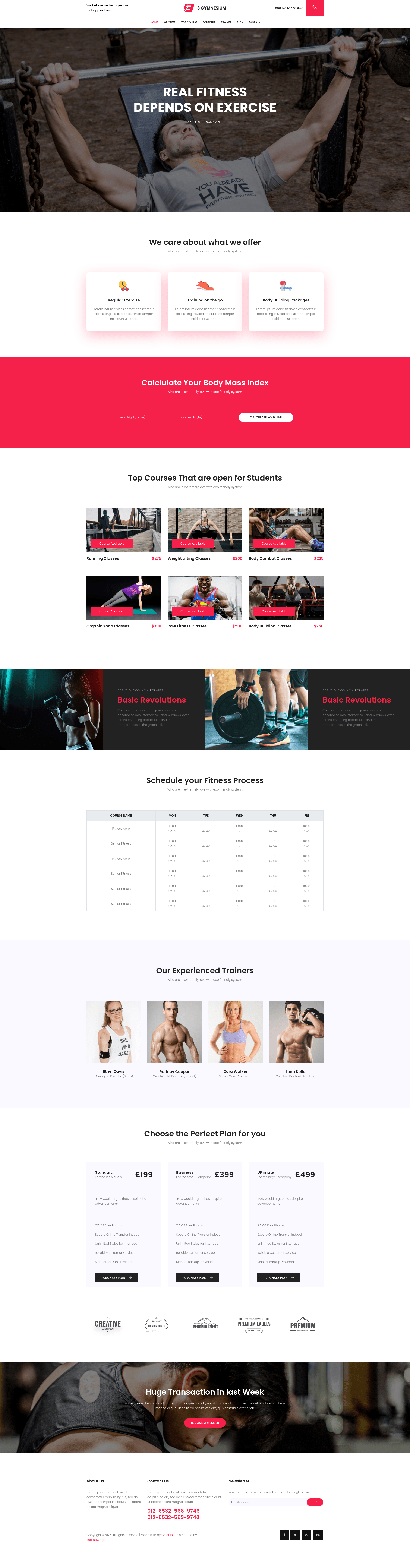 screenshot of Gym - One Page Free Responsive Fitness Website Template on template0.com