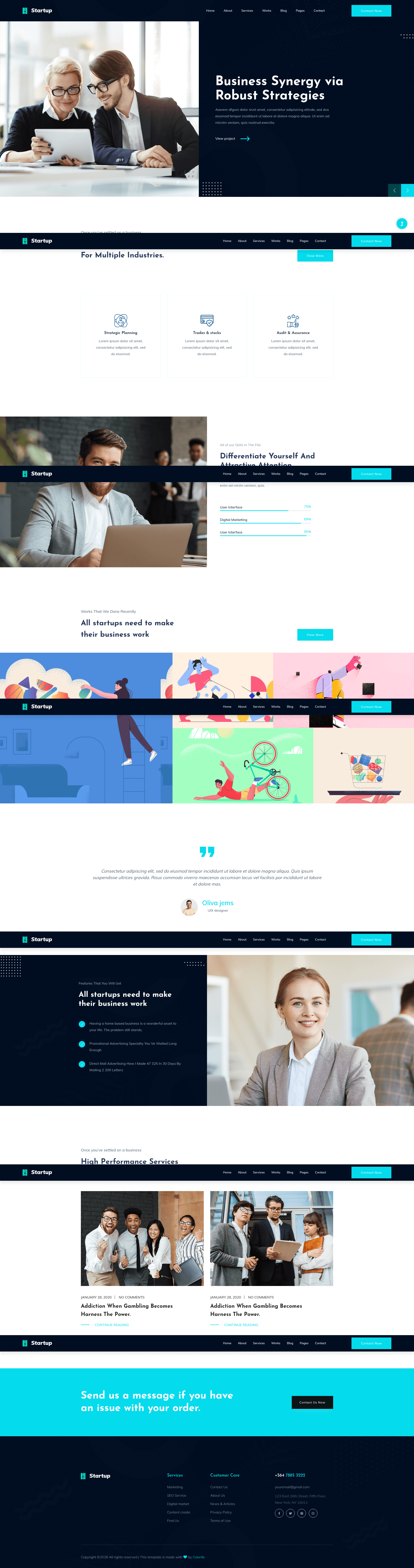 screenshot of StartupBusiness on template0.com