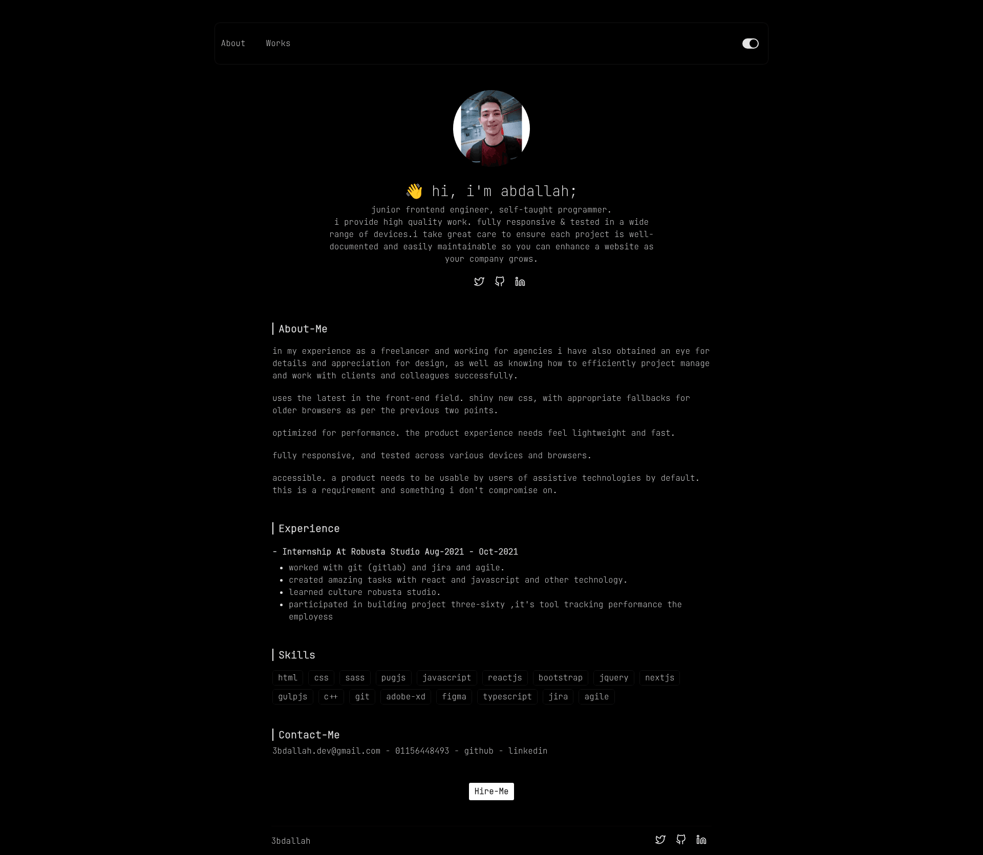 screenshot of My Portfolio on template0.com
