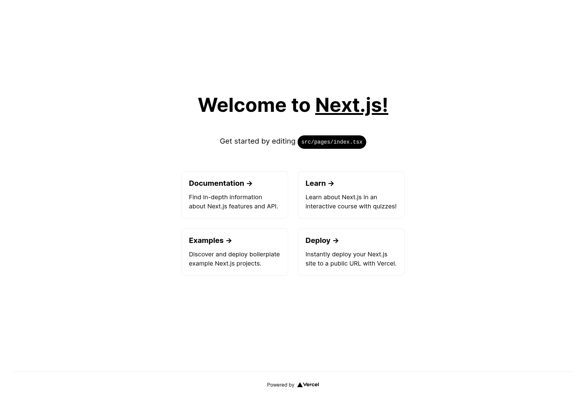 screenshot of Next Ts Setup on template0.com