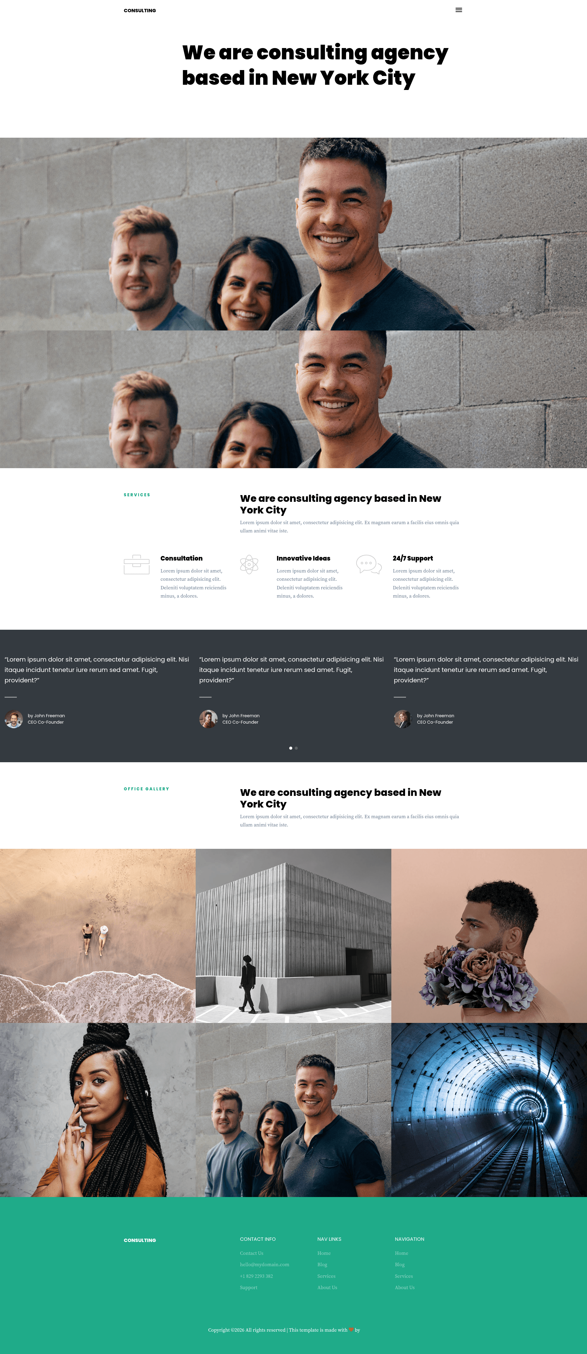 screenshot of Consulting on template0.com