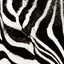 Logo of unifreak's Blog on template0.com