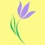 Logo of Hugo Iris on template0.com