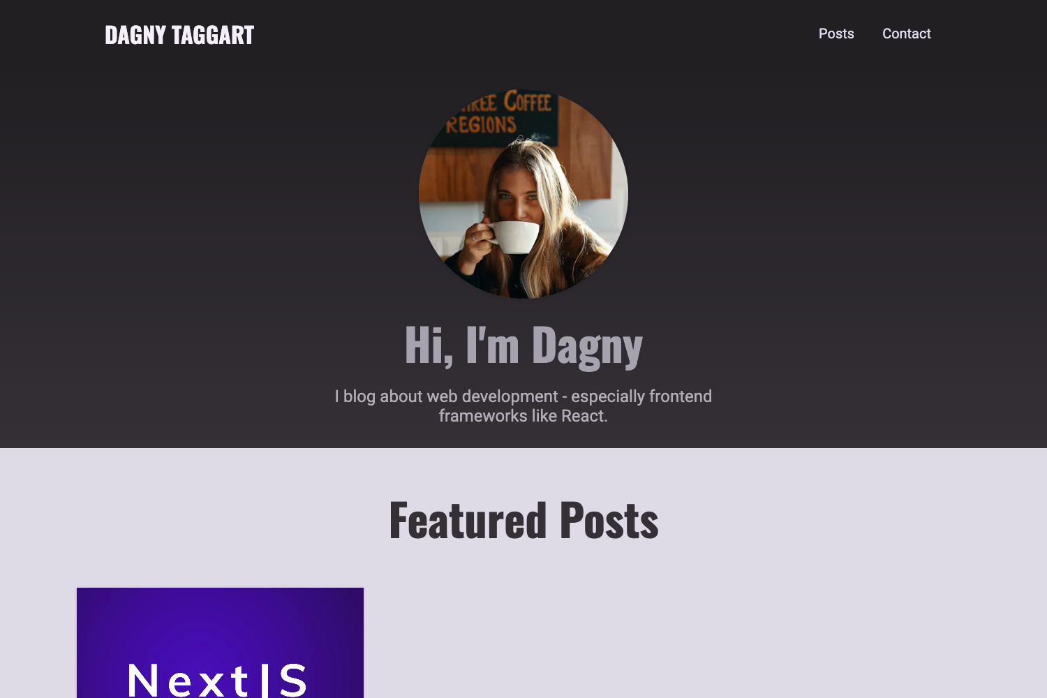 Next.js Projects preview