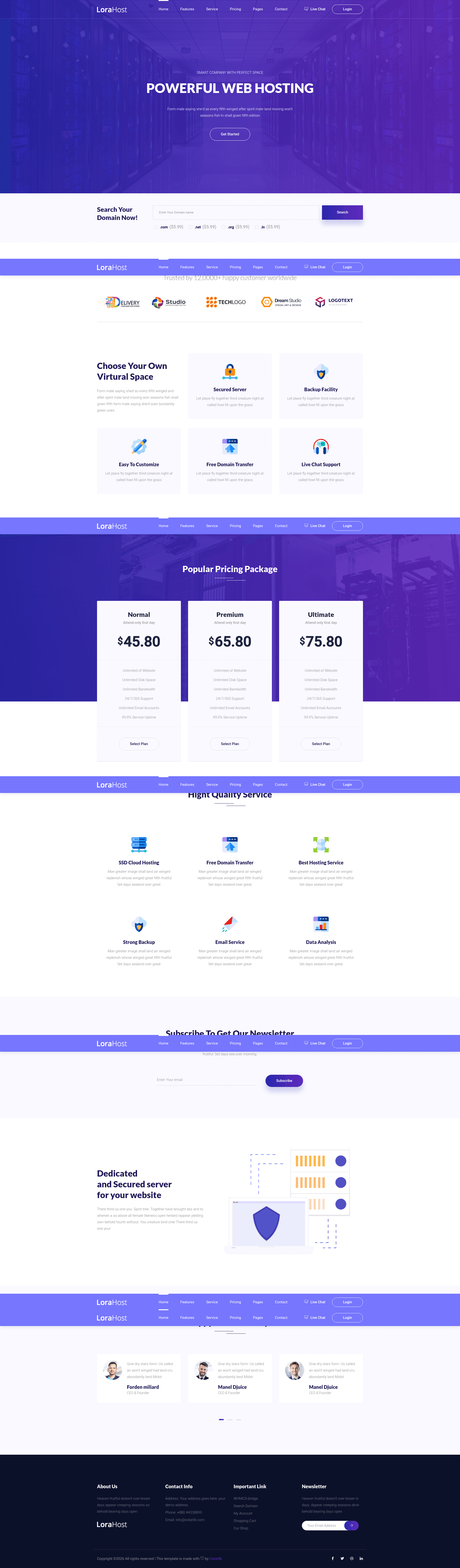 screenshot of Lorahost on template0.com