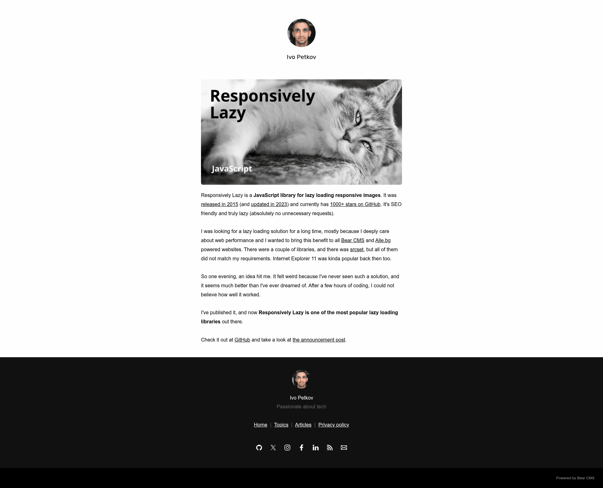 screenshot of Responsively Lazy on template0.com