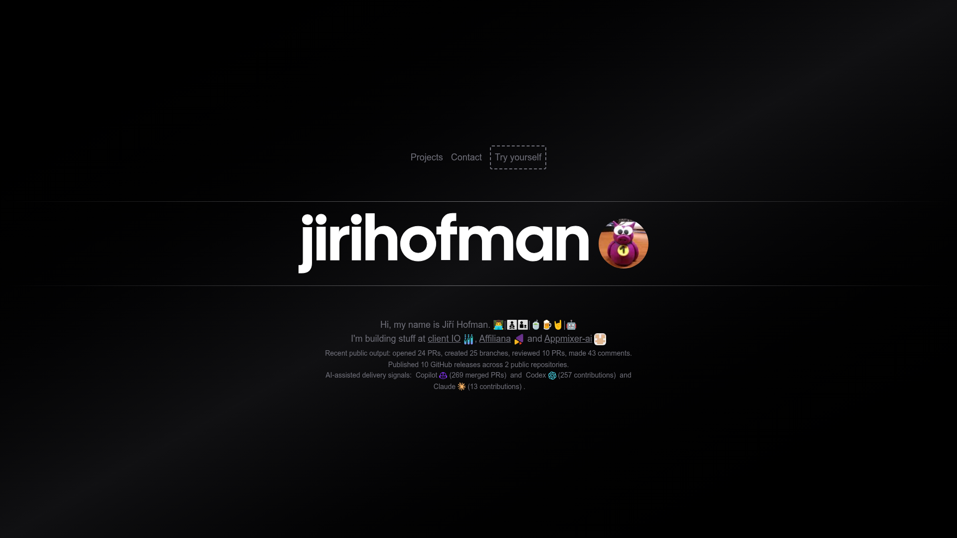 screenshot of portfolio-jirihofman on template0.com