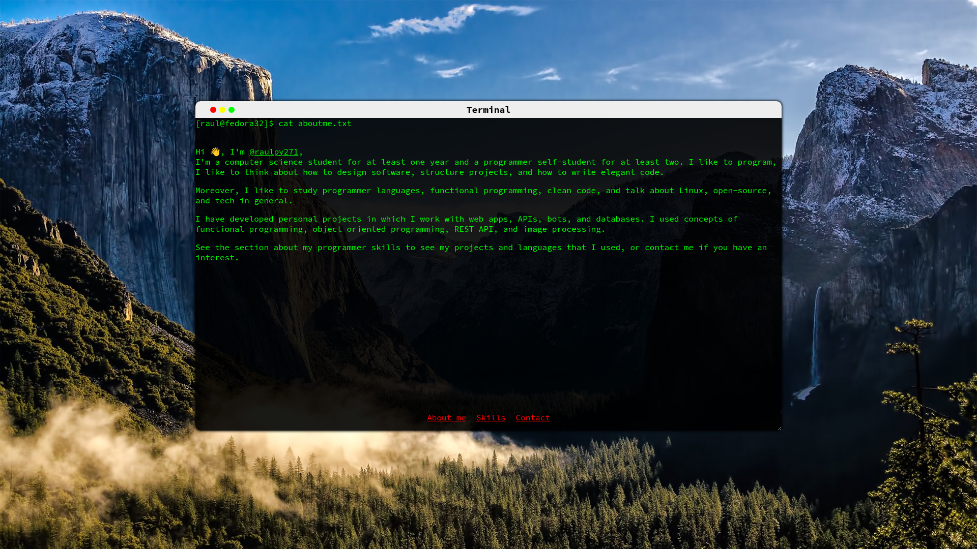 Portfolio In Terminal Style preview