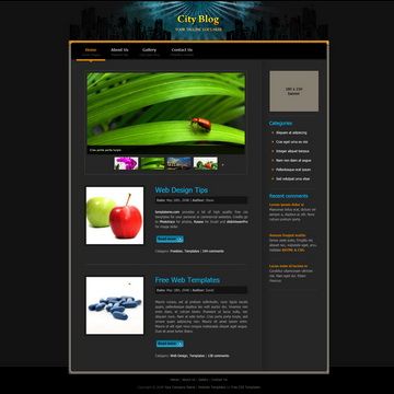 Image for City Blog on template0.com