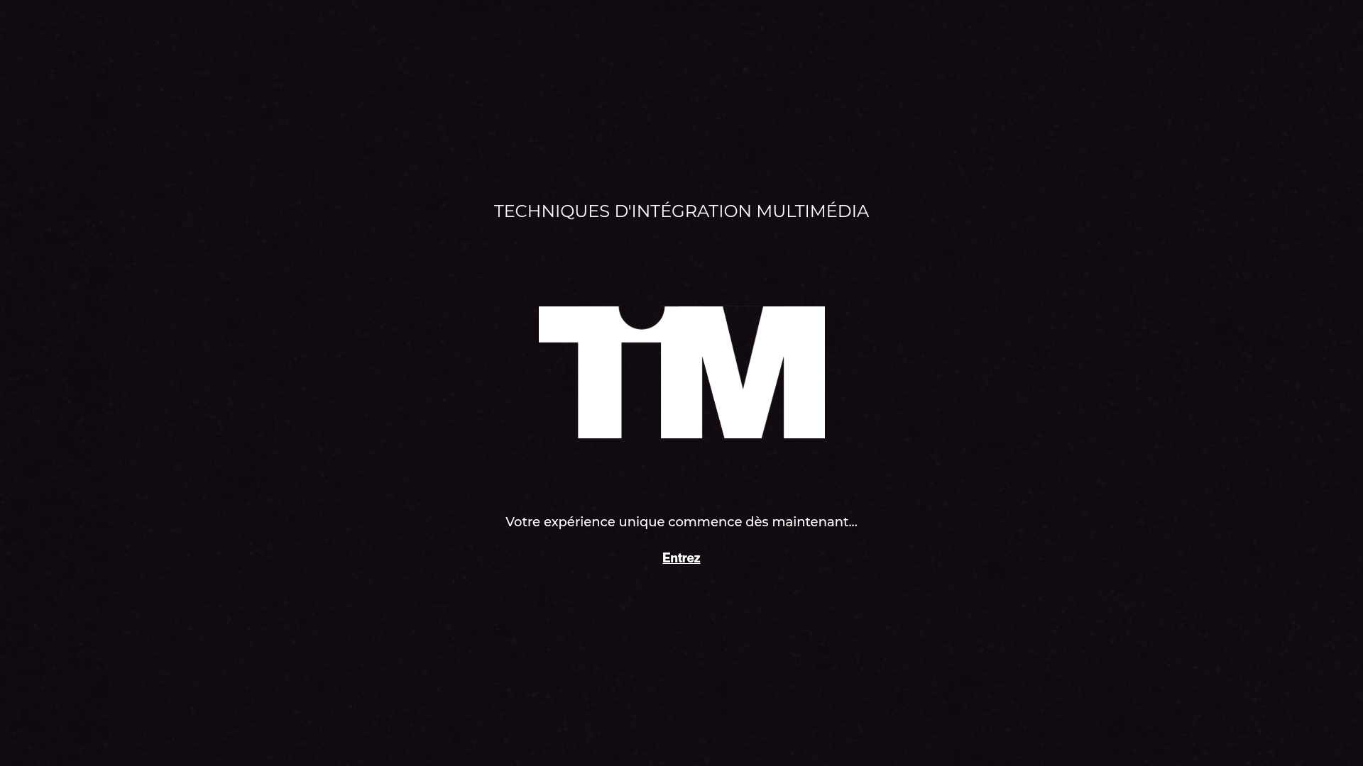 screenshot of TIM-2020 on template0.com