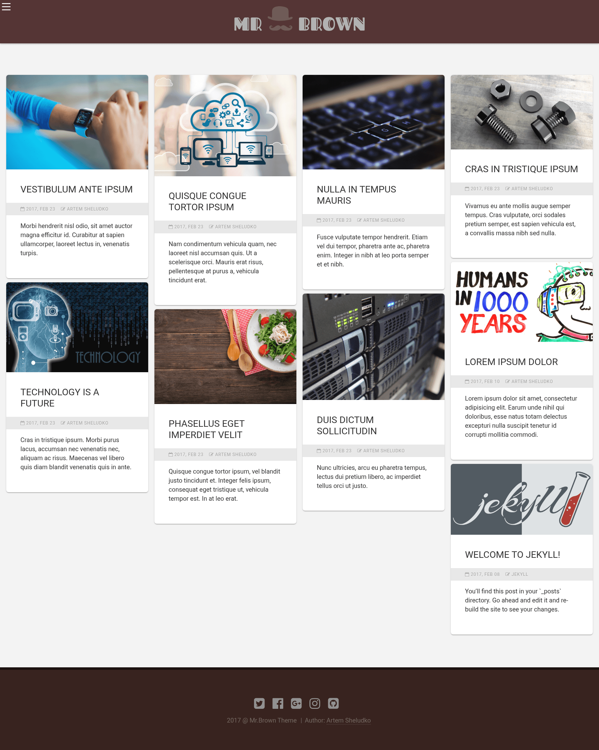 screenshot of Mr.Brown on template0.com