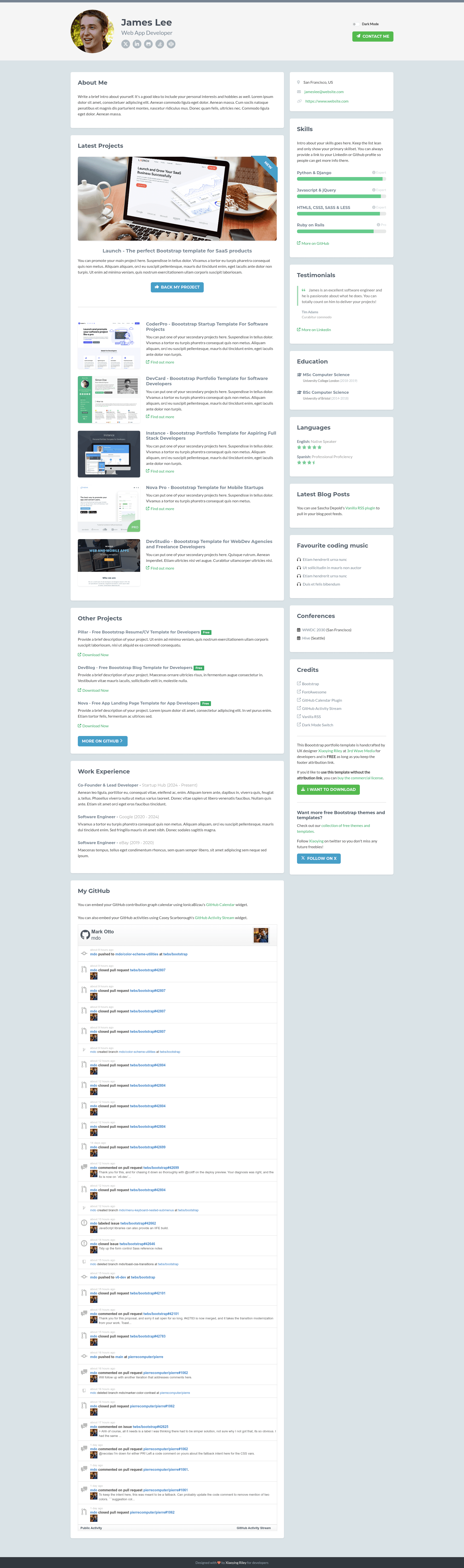 screenshot of Developer Theme on template0.com