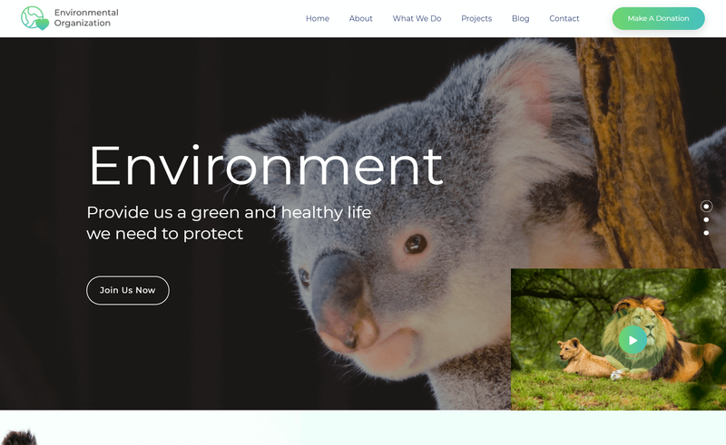 Image for EnvironmentalOrganization on template0.com