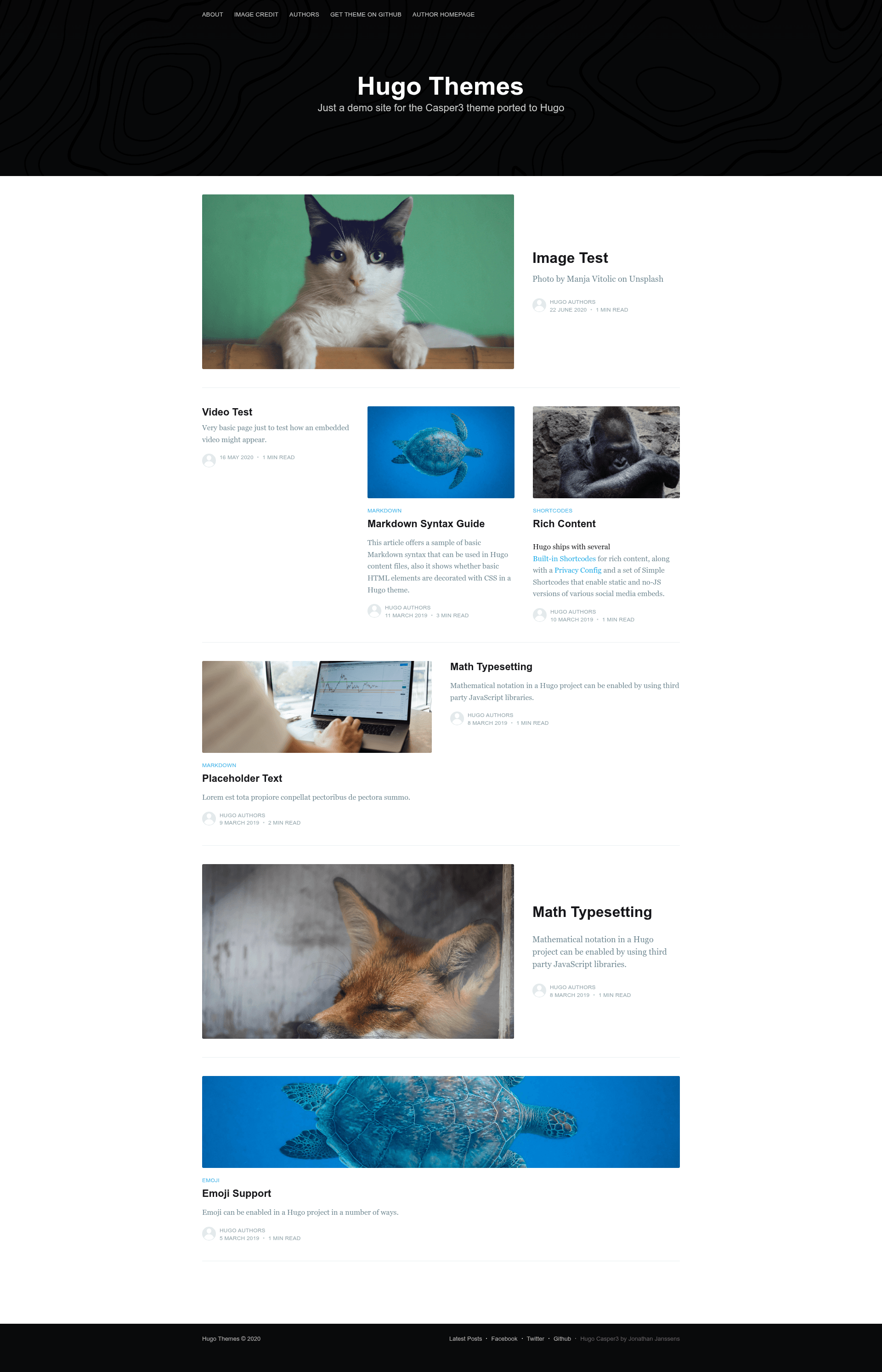 screenshot of hugoBasicExample on template0.com