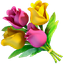Logo of Flowershow on template0.com