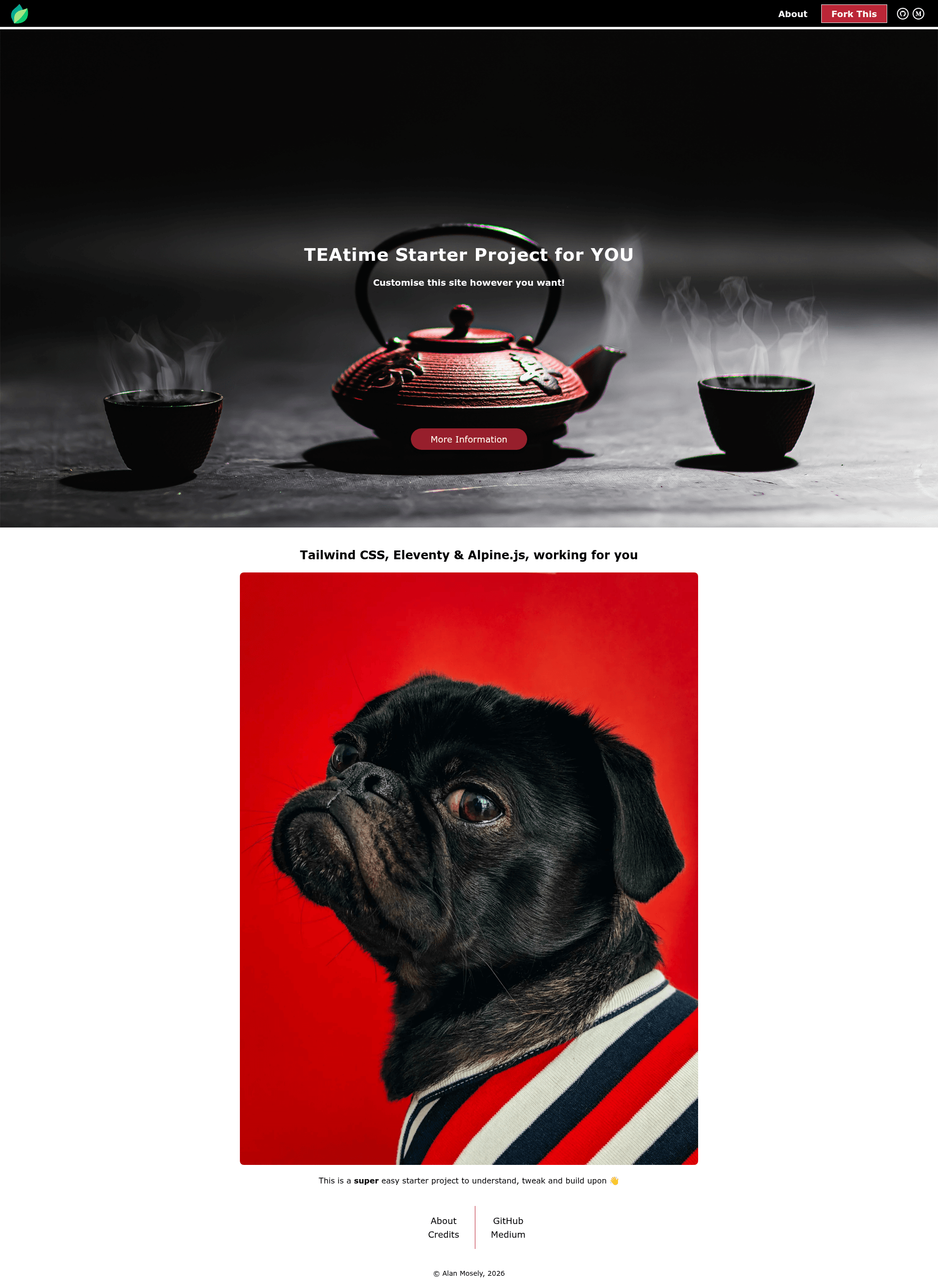 screenshot of Teatime Starter on template0.com