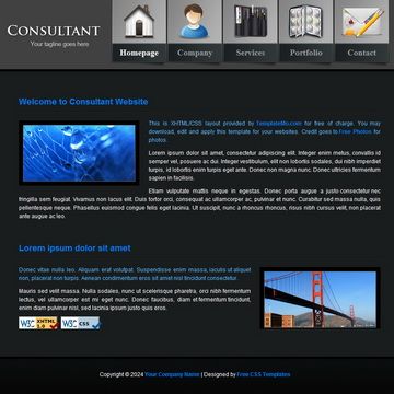Image for Consultant Template on template0.com