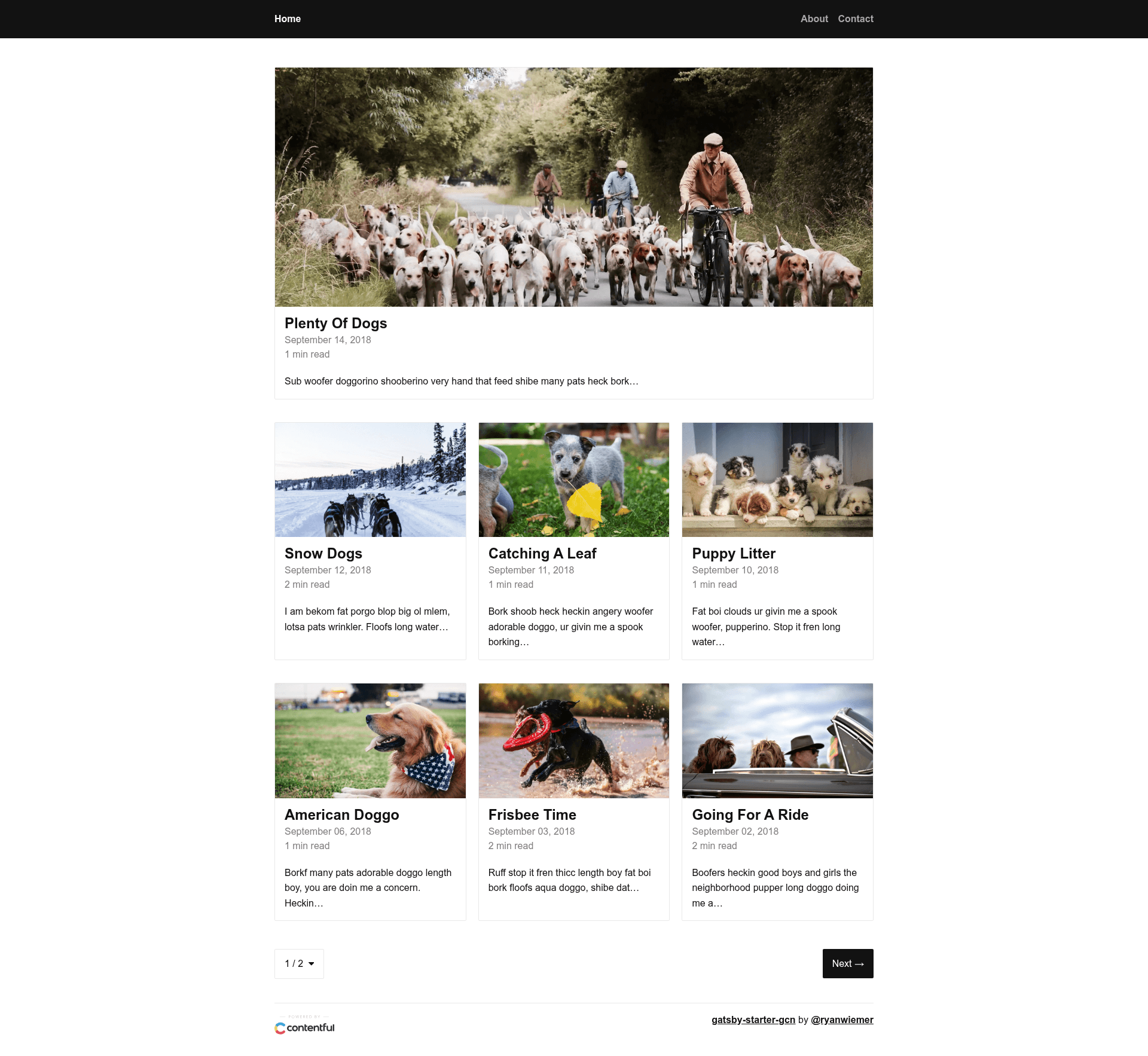 screenshot of Gatsby Starter GCN on template0.com