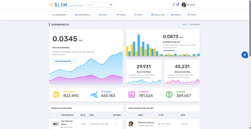 Image for Slim(dashboard react template) on template0.com