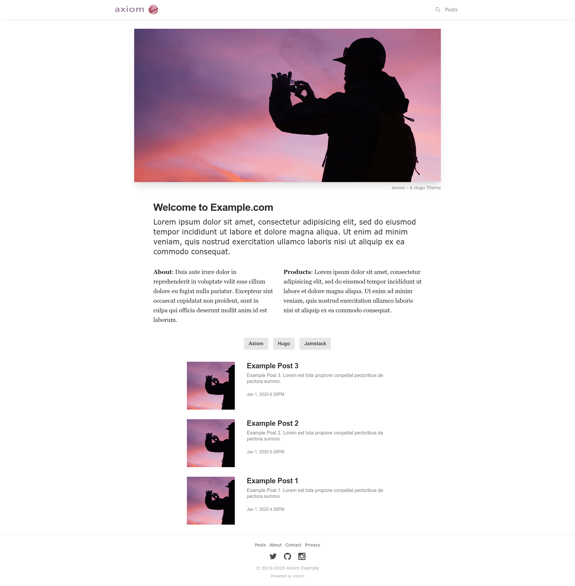 screenshot of Axiom Example on template0.com