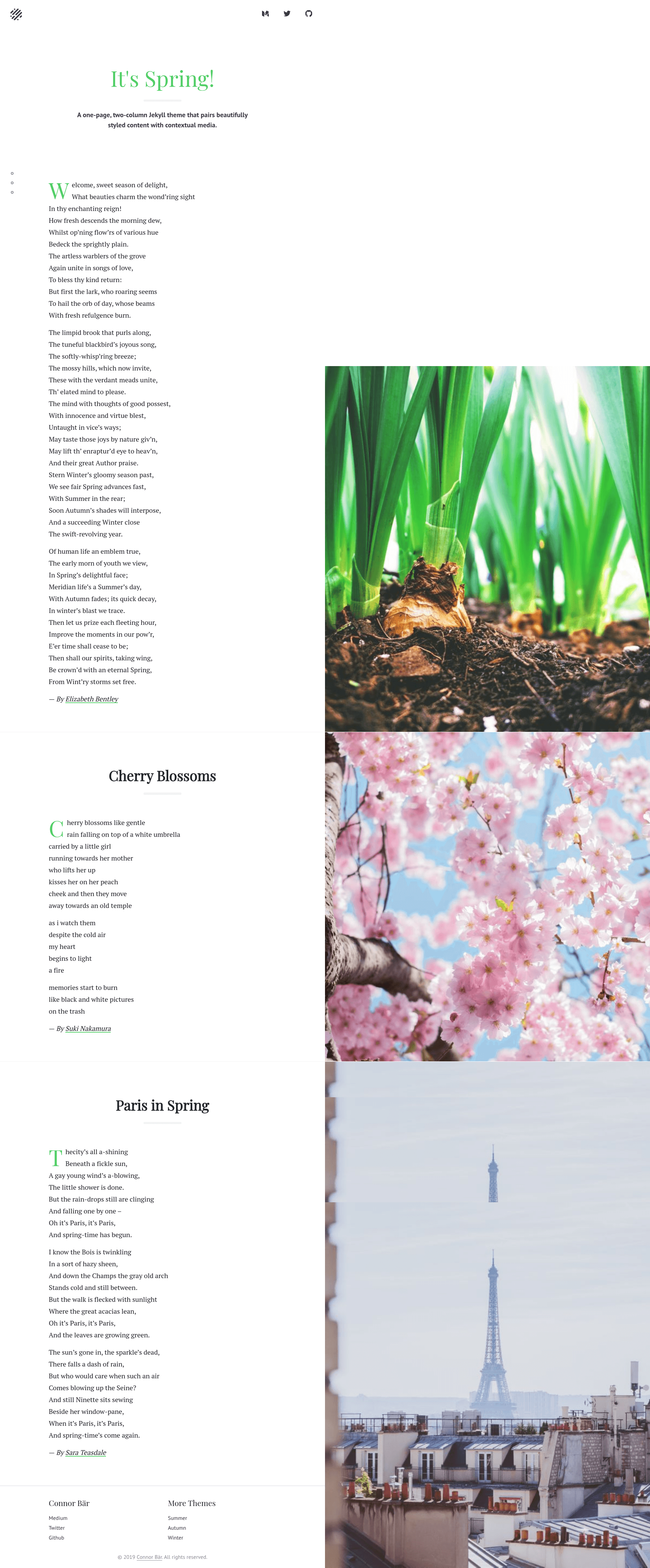 screenshot of Spring on template0.com