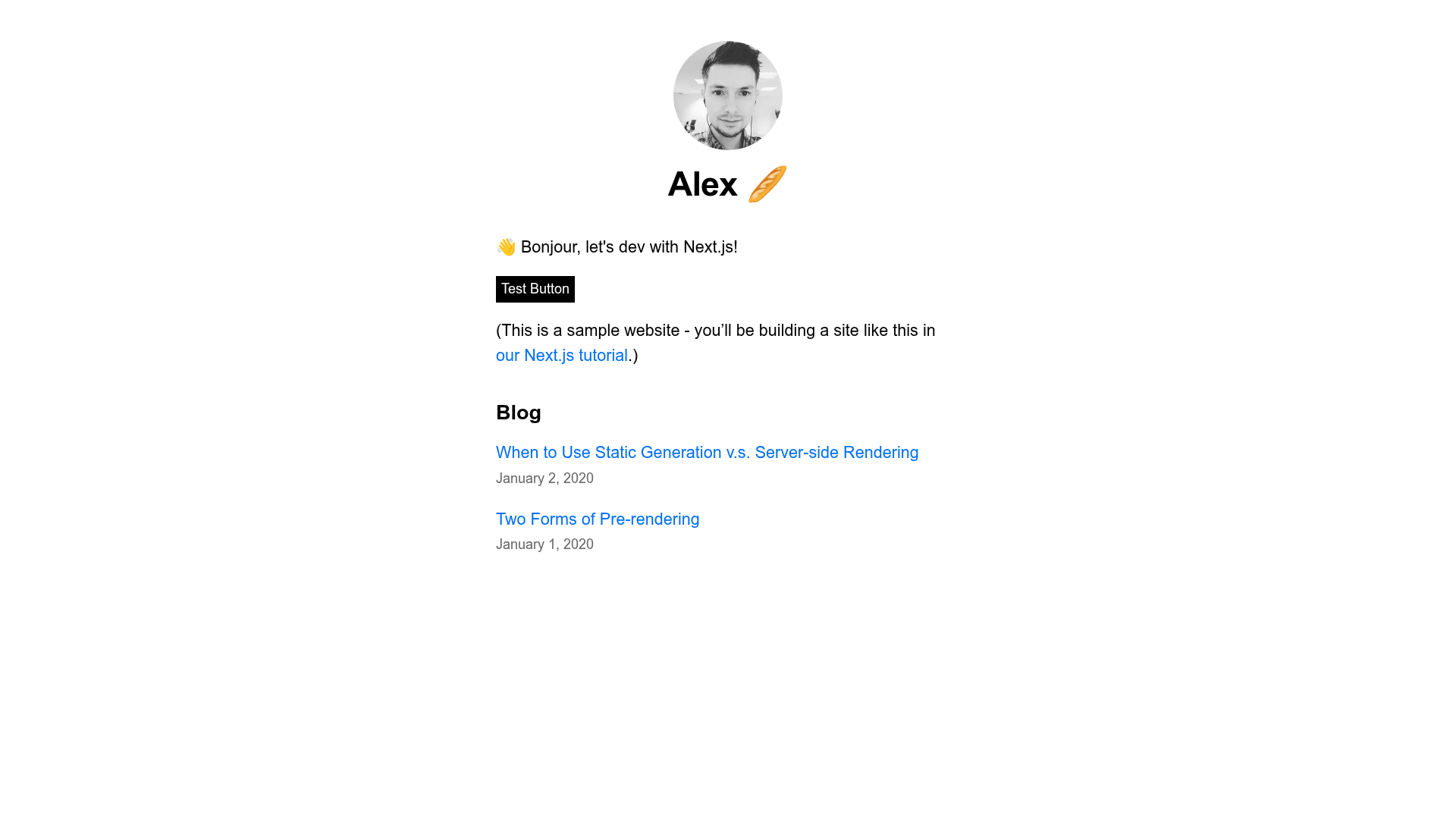 screenshot of NextJS Alex Template on template0.com