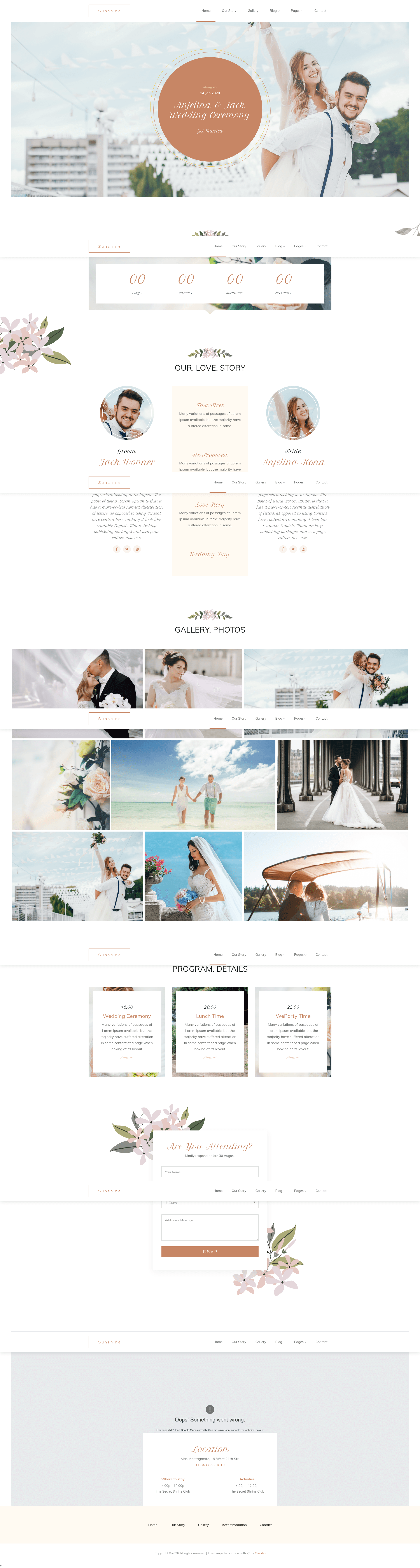 screenshot of Sunshine on template0.com