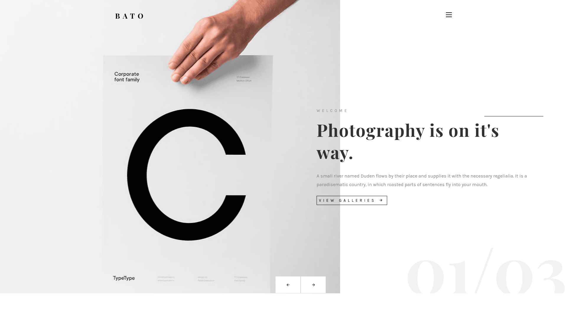 screenshot of Bato – Free HTML5 Responsive Photography Template on template0.com
