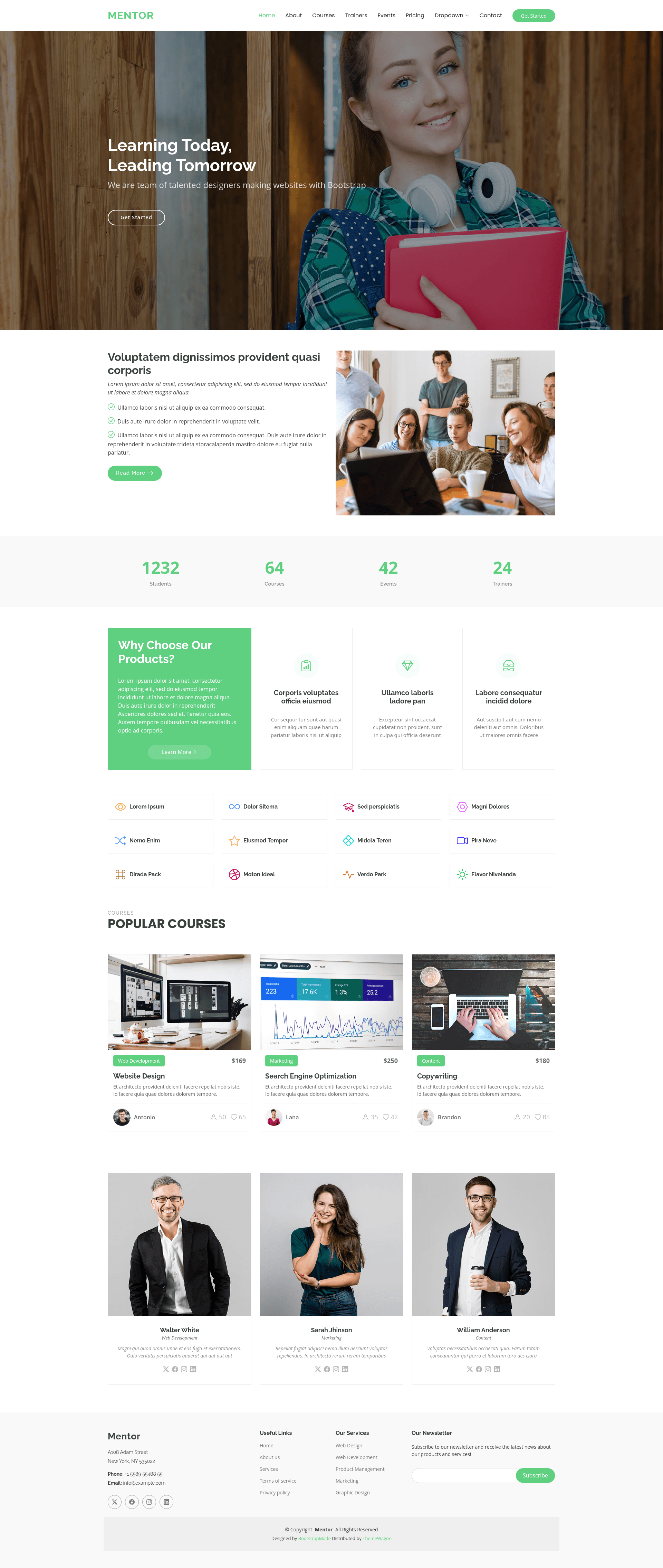 screenshot of Mentor on template0.com