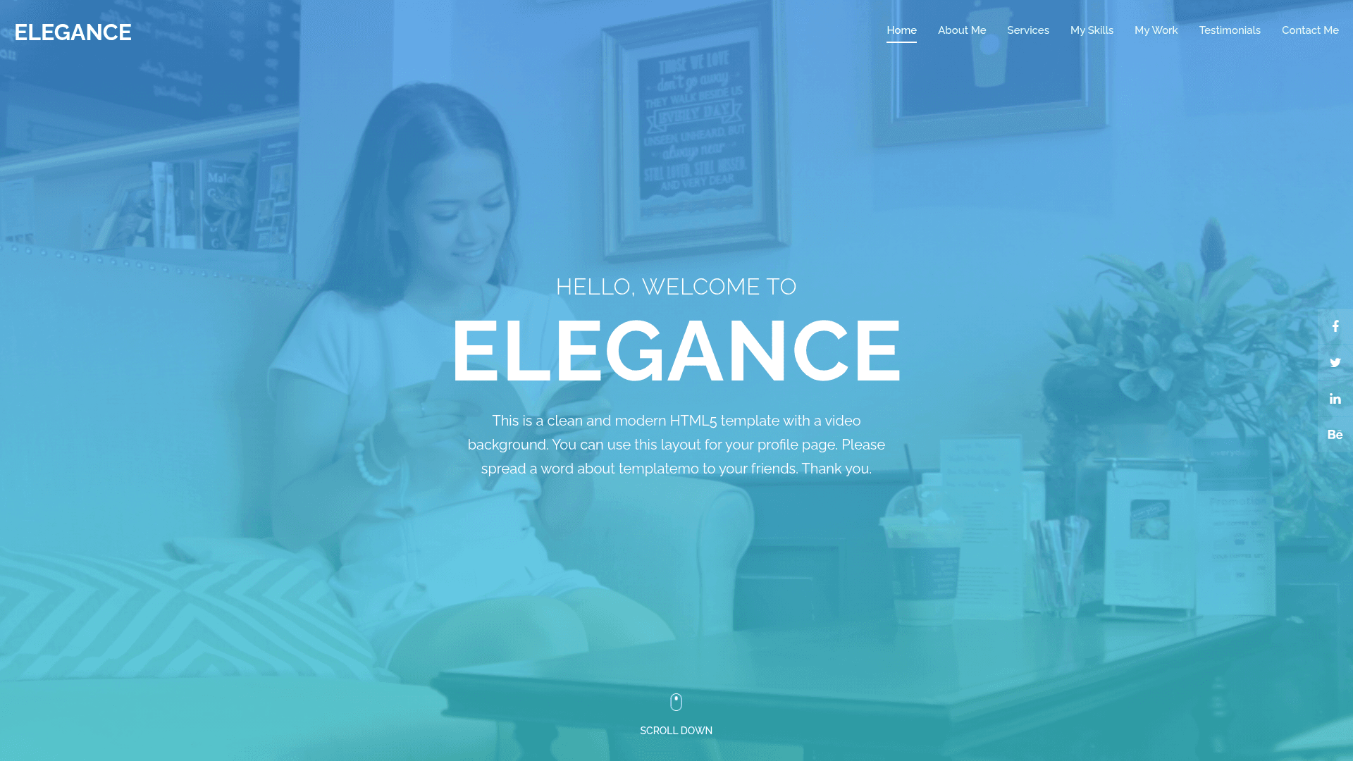 screenshot of Elegance on template0.com