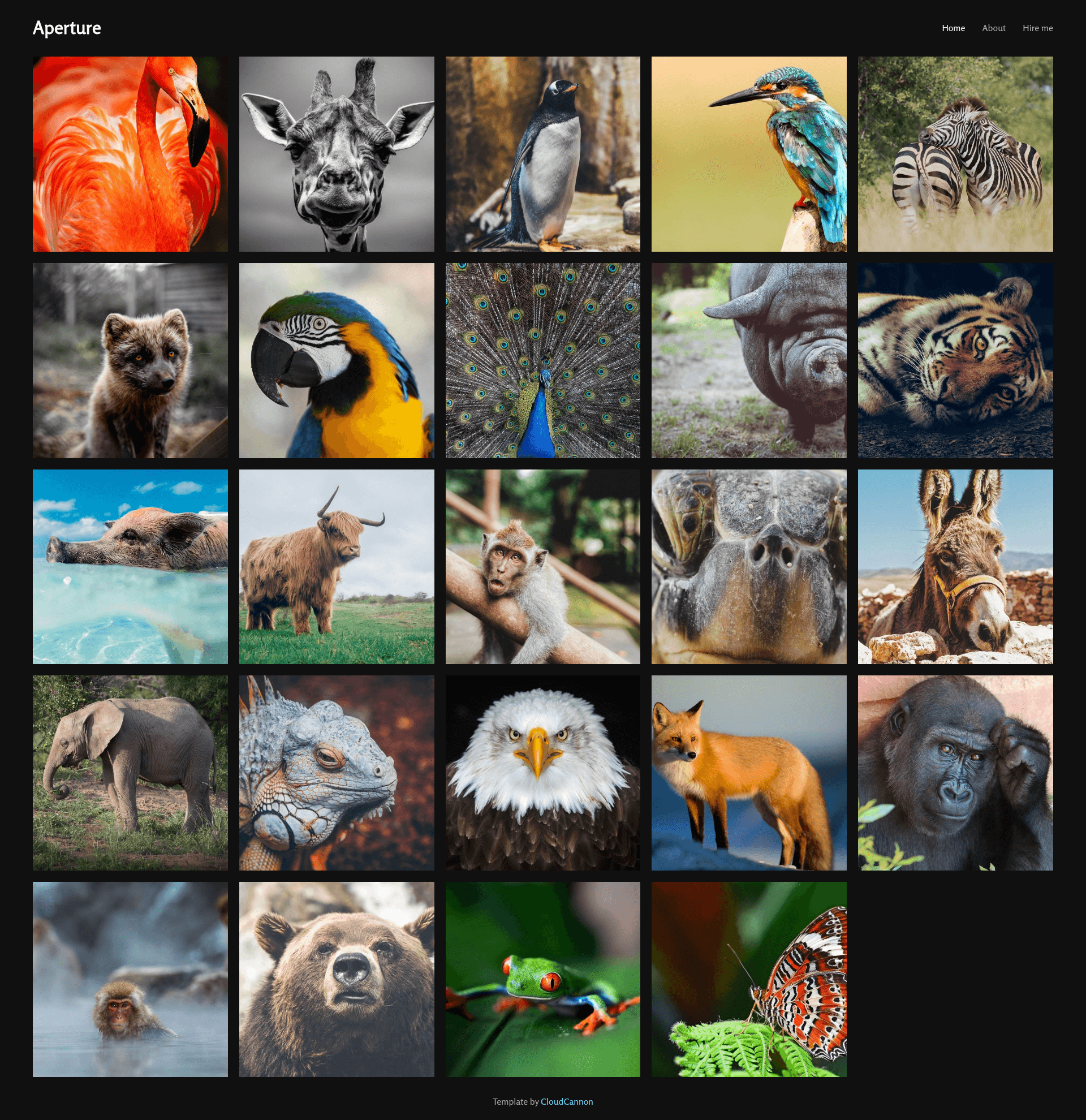 screenshot of Aperture on template0.com