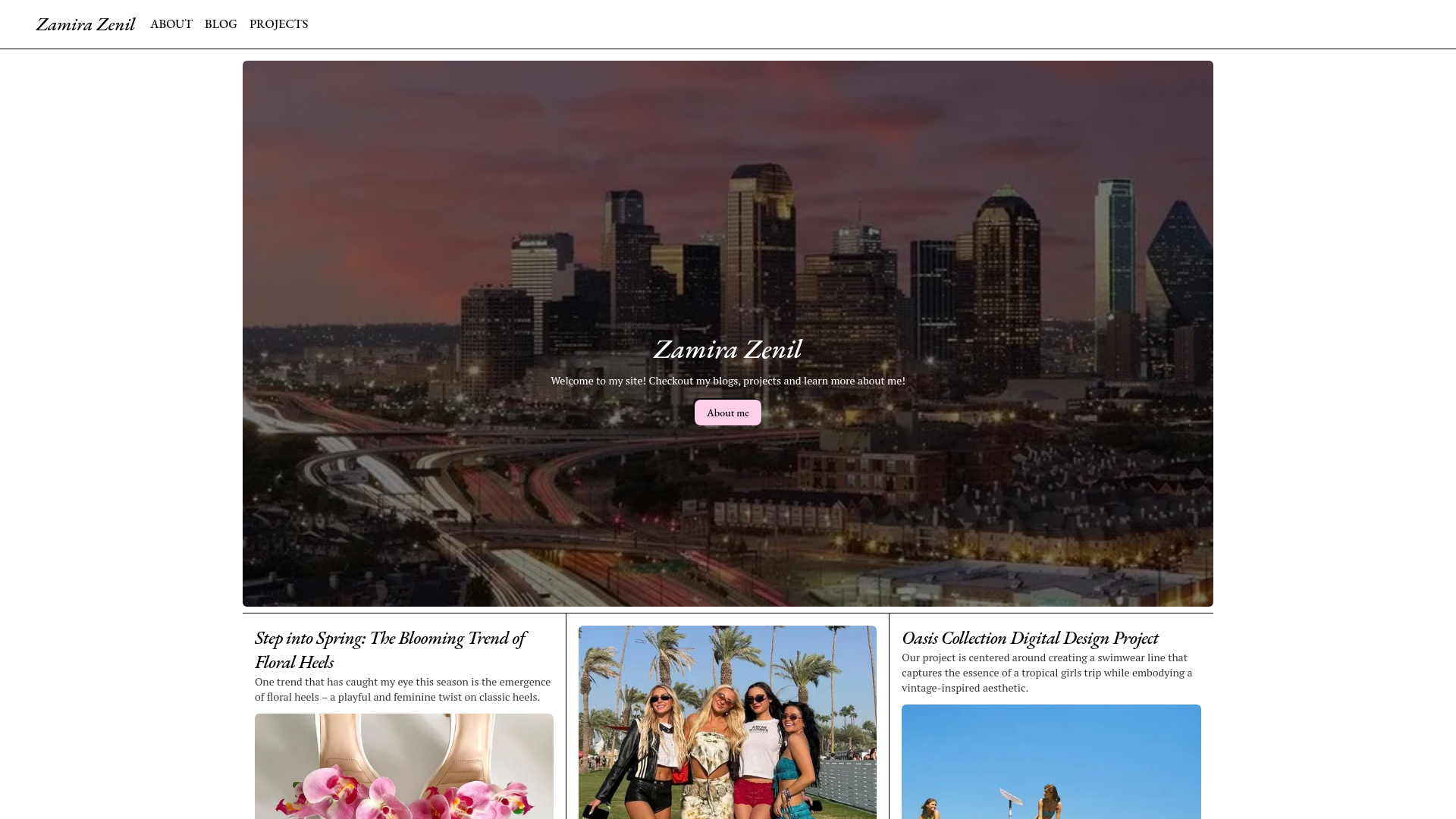 Portfolio / Blog preview