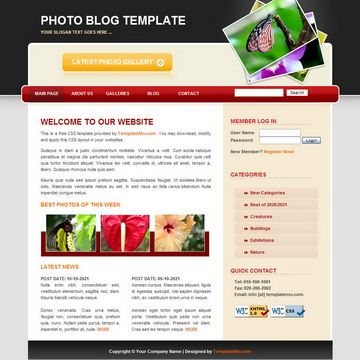 Image for Photoblog on template0.com Image for Photoblog on template0.com
