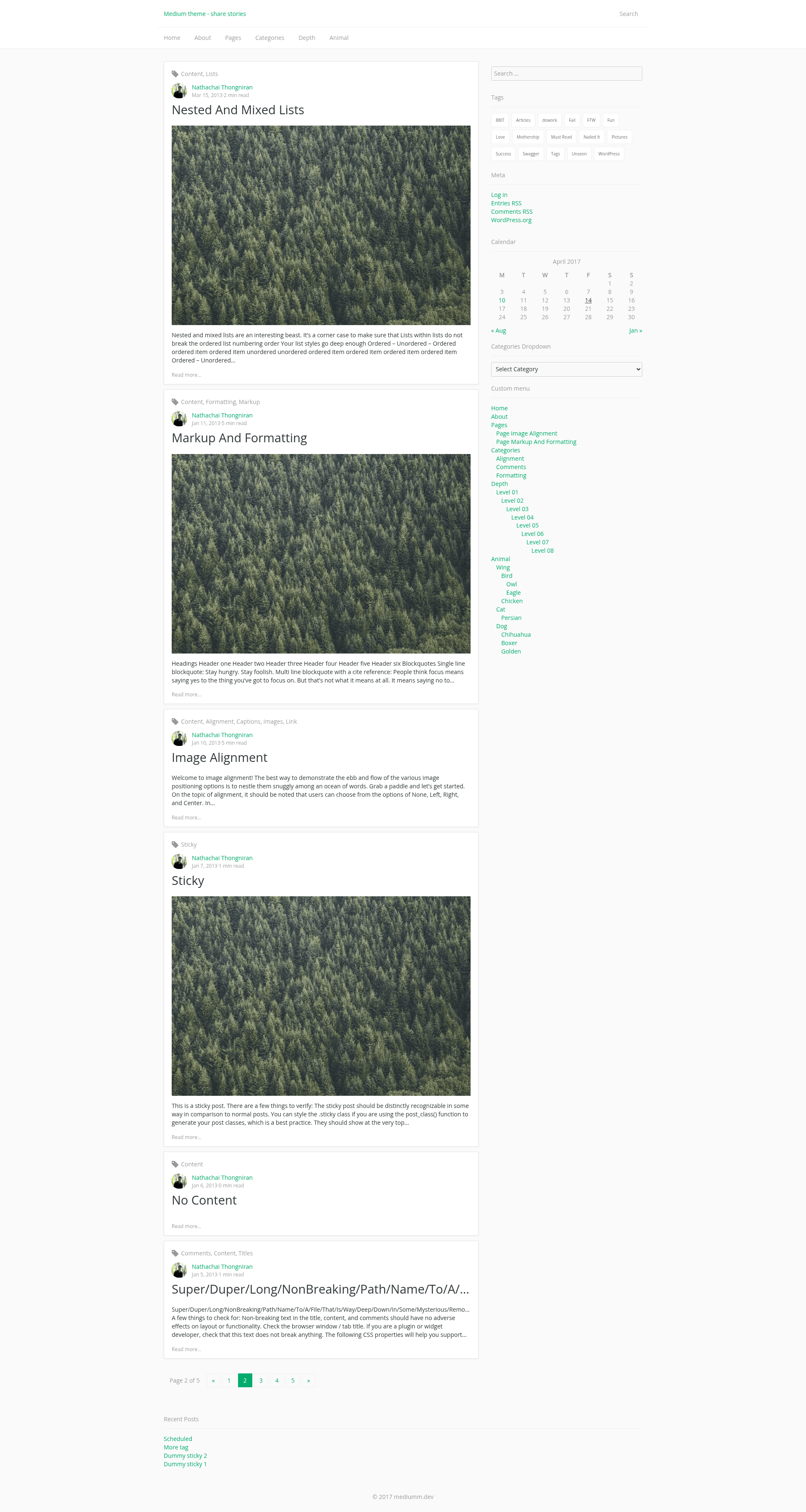 screenshot of Mediumm Template on template0.com