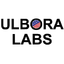 Logo of Ulbora CMS on template0.com