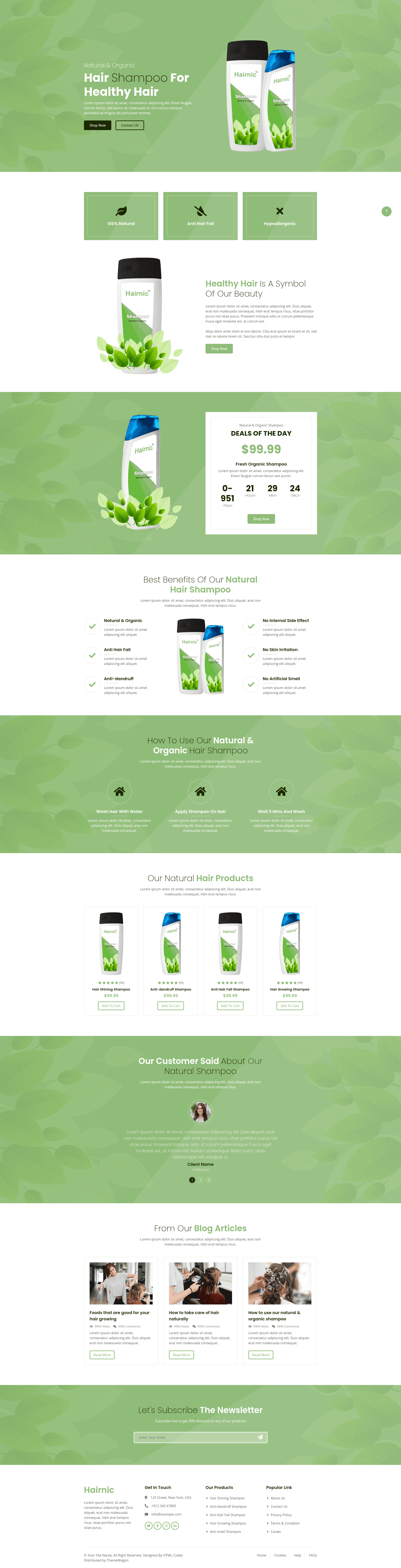 screenshot of Hairnic on template0.com