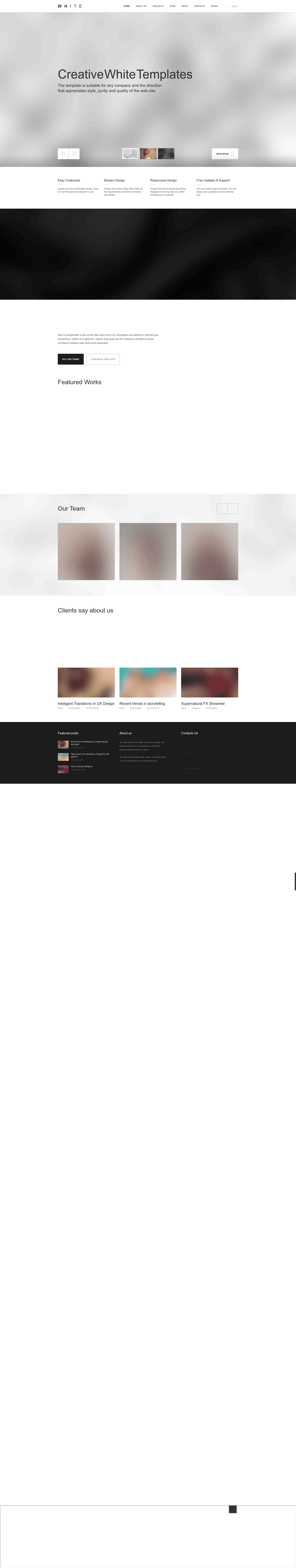 screenshot of White Pro on template0.com