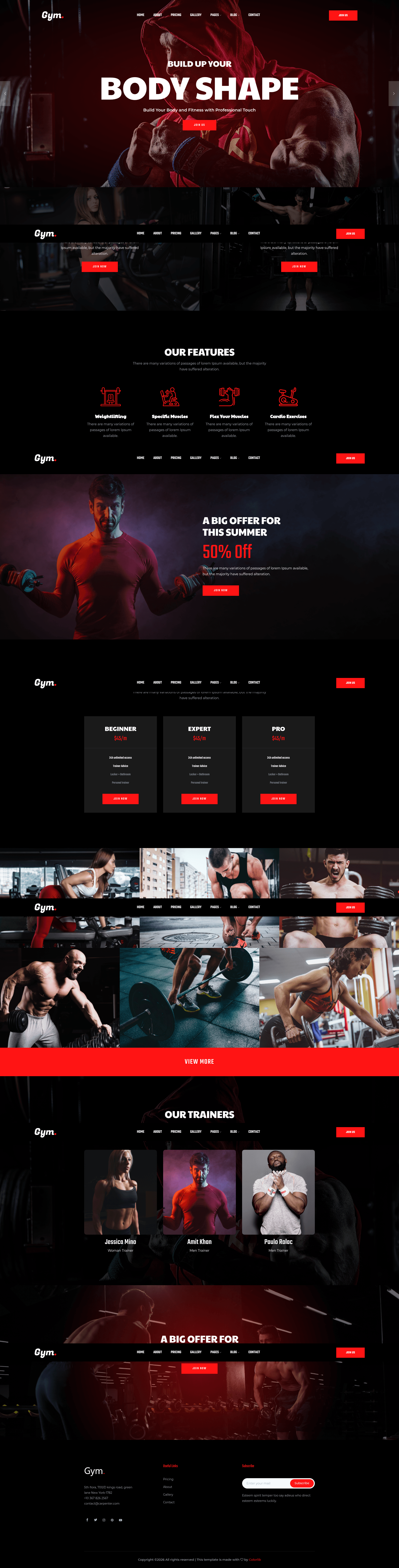 screenshot of Gym2 on template0.com
