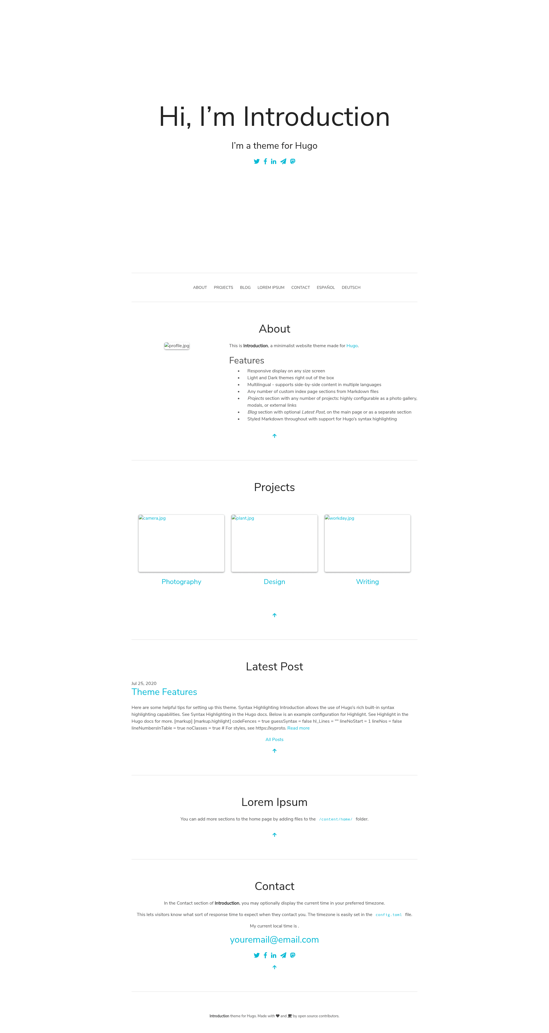 screenshot of Introduction on template0.com