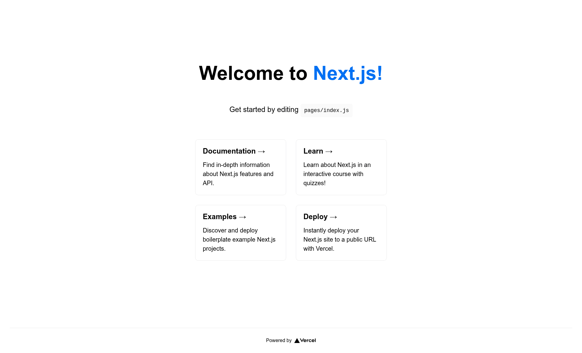 screenshot of Nextjs Starter Pack on template0.com