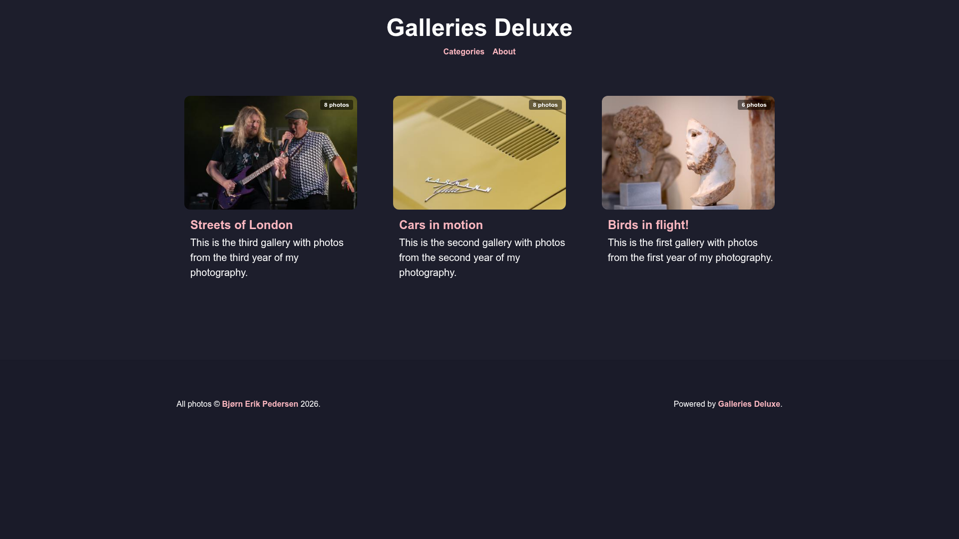 screenshot of GalleriesDeluxe on template0.com