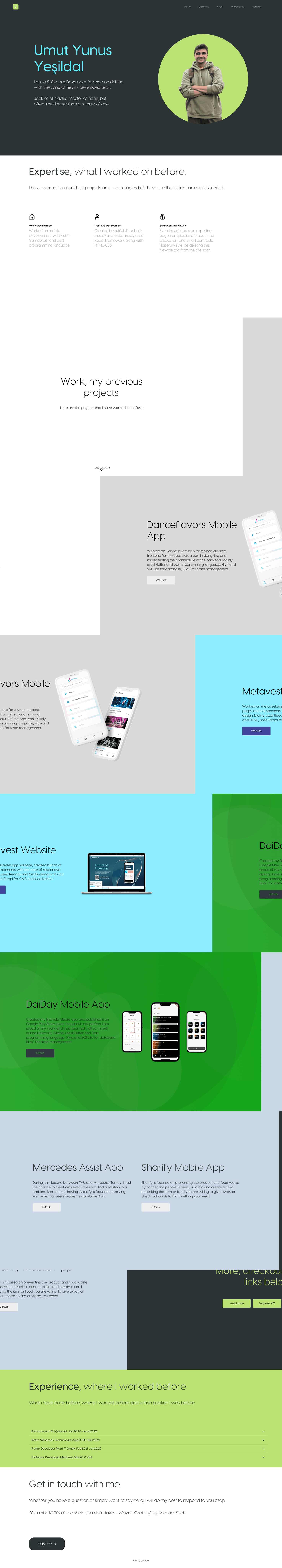 screenshot of Software Developer Portfolio on template0.com