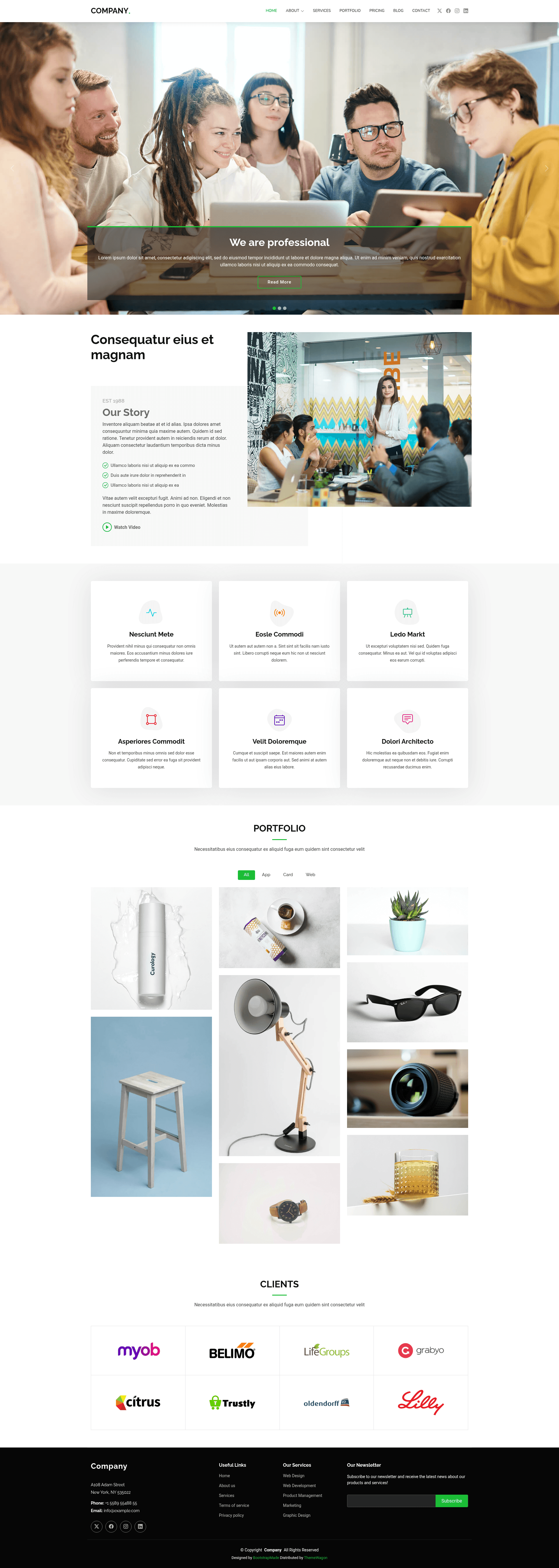screenshot of Company on template0.com