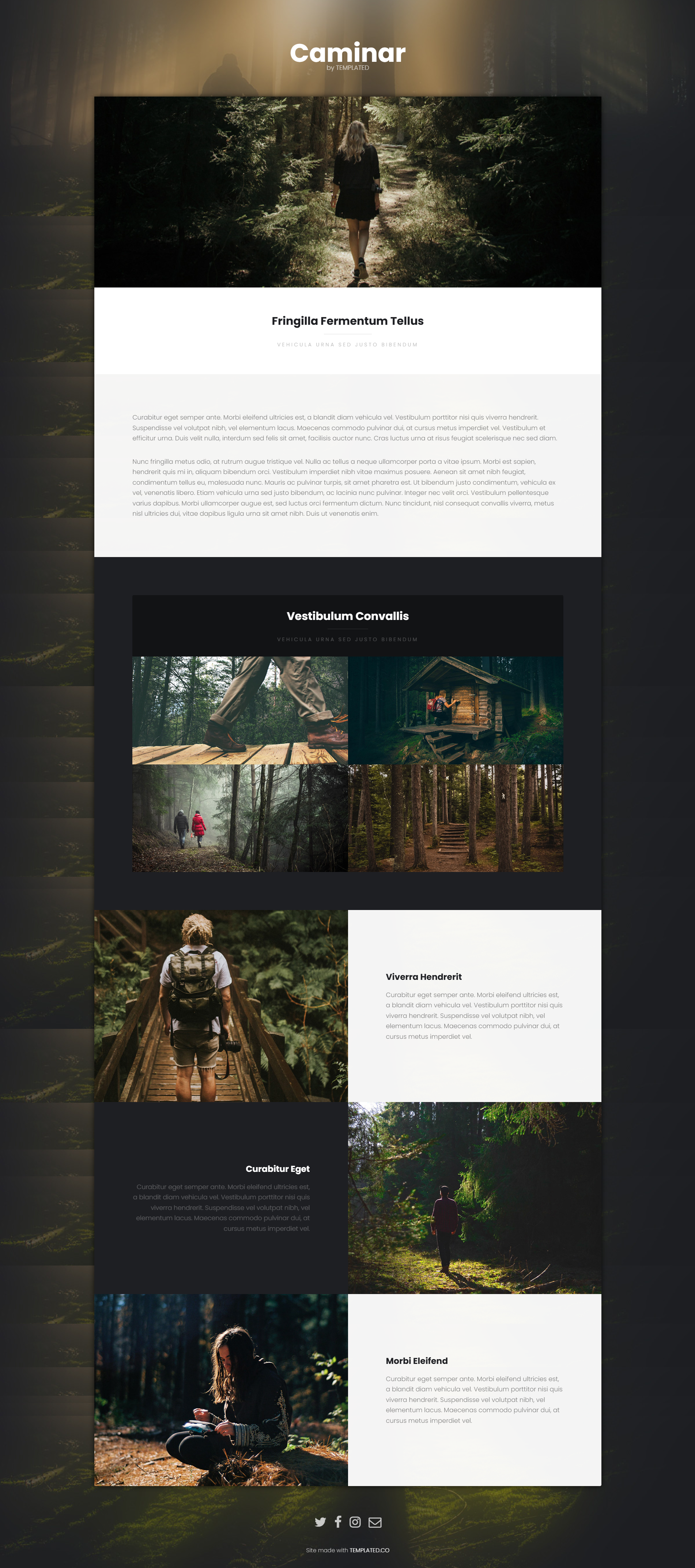 Image for Caminar(personal html template) on template0.com