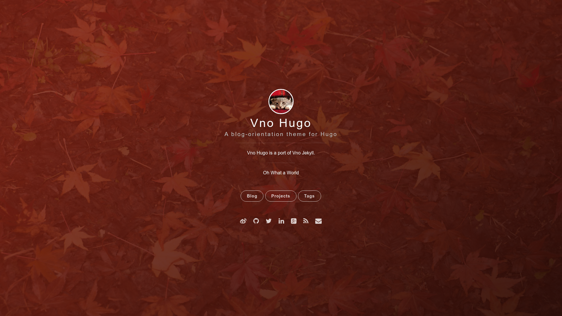 screenshot of Vno Hugo on template0.com