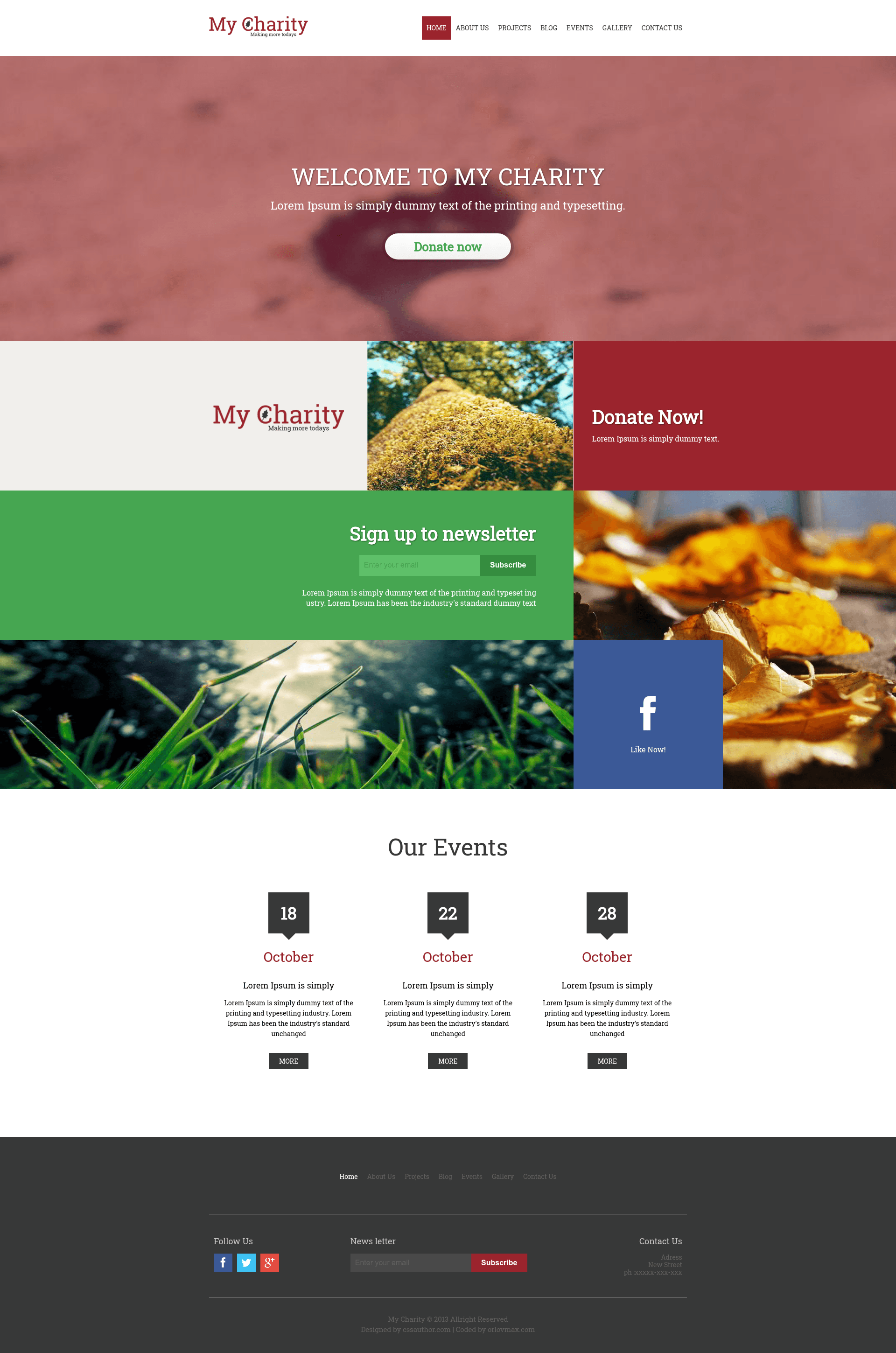 screenshot of Charity_responsive Template on template0.com